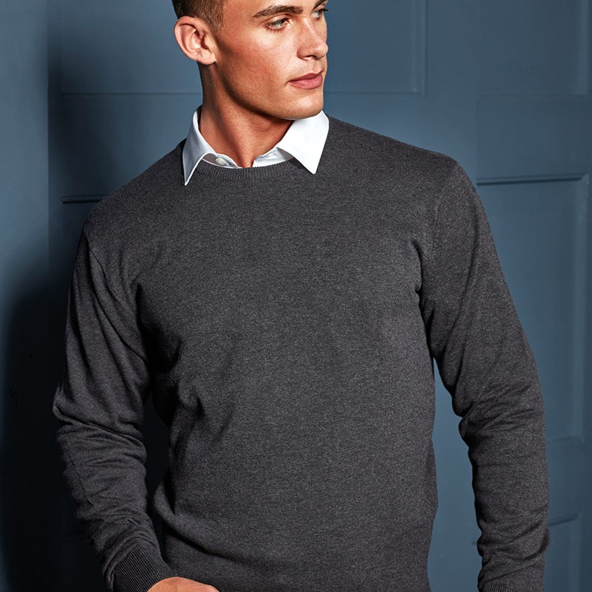 Premier Men's Cotton Crew Neck Jumper
